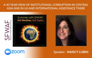 Nancy Lubin Webinar